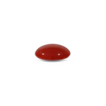 Japanese Red Coral - 4.65 Carat