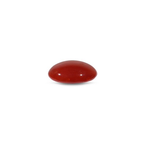 Japanese Red Coral - 4.65 Carat
