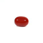 Japanese Red Coral - 3.11 Carat - Pramogh