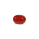 Japanese Red Coral - 3.11 Carat - Pramogh
