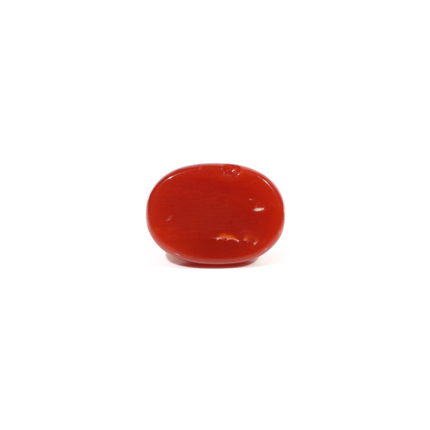 Japanese Red Coral - 3.11 Carat