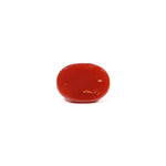 Japanese Red Coral - 3.11 Carat