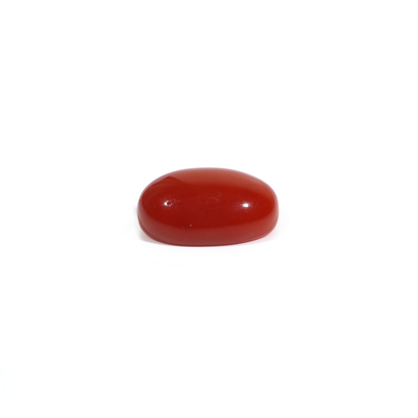 Japanese Red Coral - 3.11 Carat