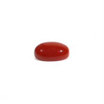 Japanese Red Coral - 3.11 Carat