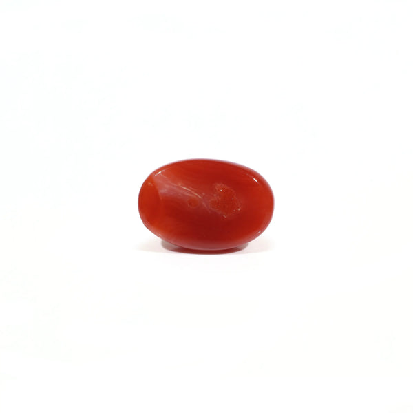 Japanese Red Coral - 3.15 Carat