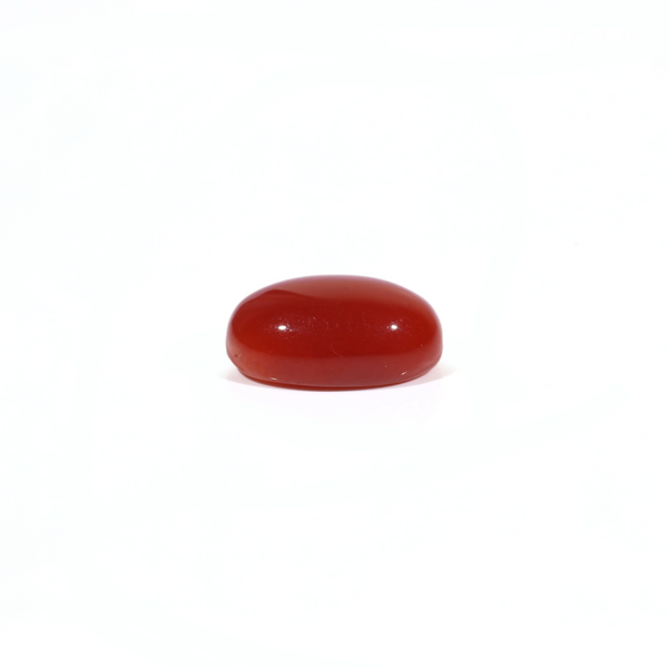 Japanese Red Coral - 3.15 Carat