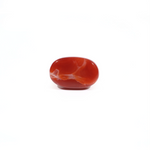 Japanese Red Coral - 4.25 Carat