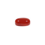 Japanese Red Coral - 4.25 Carat