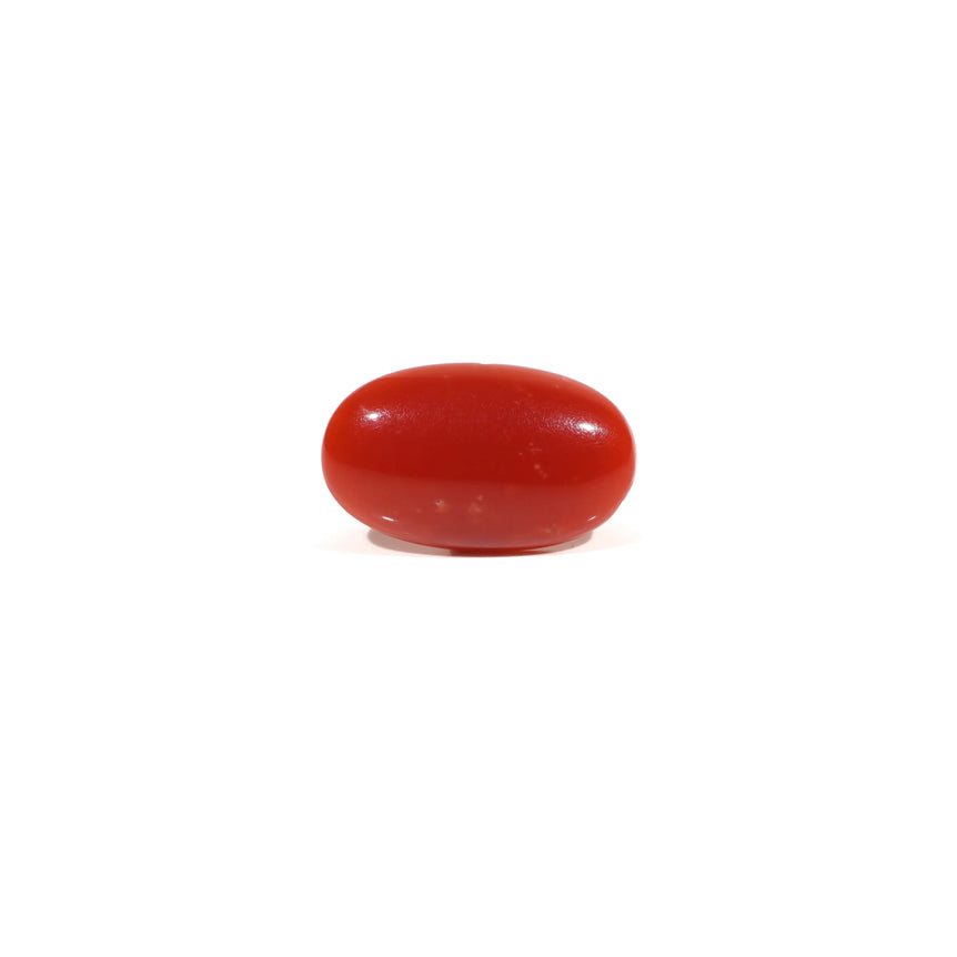 Japanese Red Coral - 3.9 Carat - Pramogh