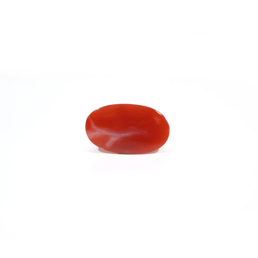 Japanese Red Coral - 3.9 Carat