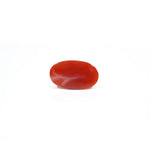 Japanese Red Coral - 3.9 Carat