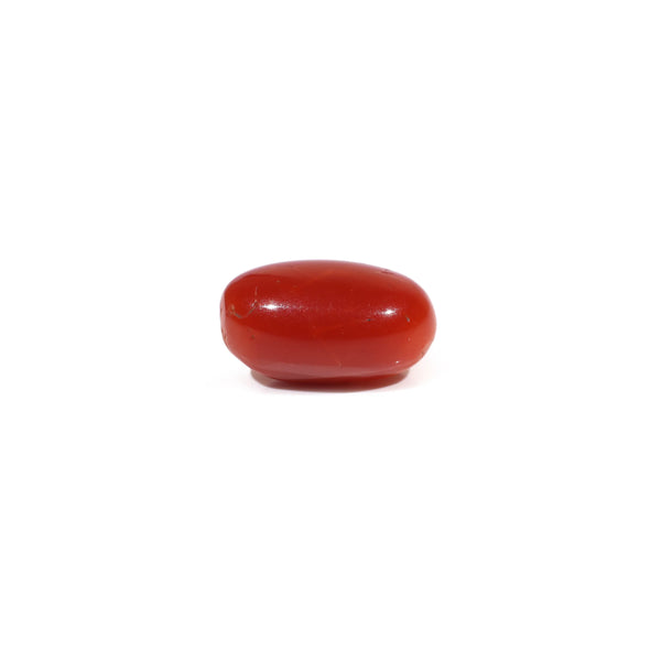 Japanese Red Coral - 4.6 Carat