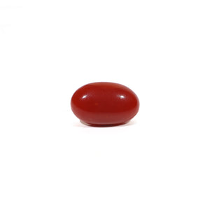 Japanese Red Coral - 3.6 Carat - Pramogh