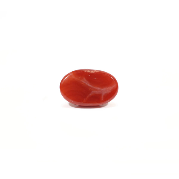 Japanese Red Coral - 3.6 Carat
