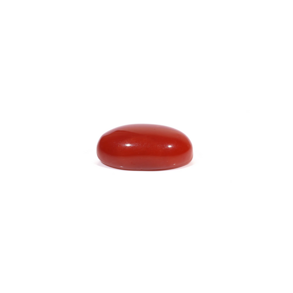 Japanese Red Coral - 3.6 Carat