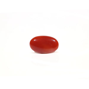 Japanese Red Coral - 4.28 Carat - Pramogh