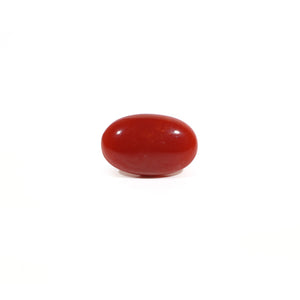 Japanese Red Coral - 3.65 Carat - Pramogh