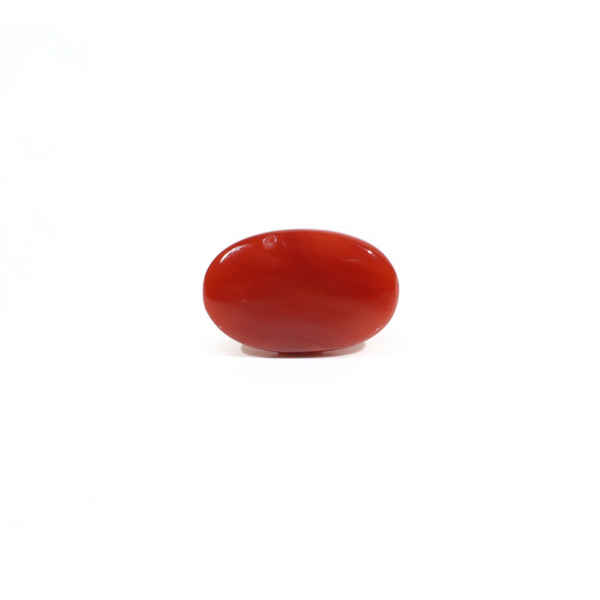 Japanese Red Coral - 3.65 Carat