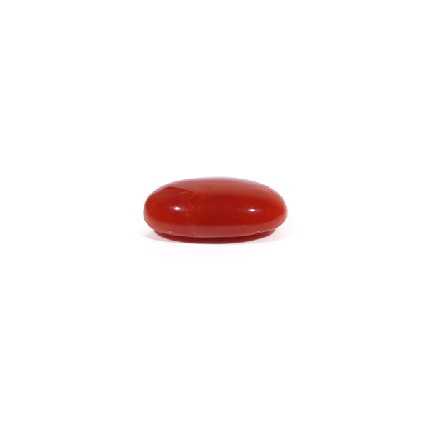Japanese Red Coral - 3.65 Carat