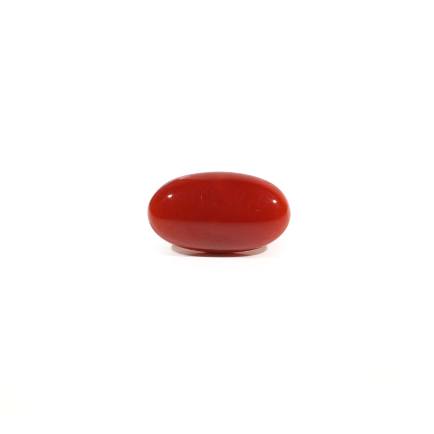 Japanese Red Coral - 3 Carat - Pramogh