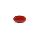 Japanese Red Coral - 3 Carat - Pramogh