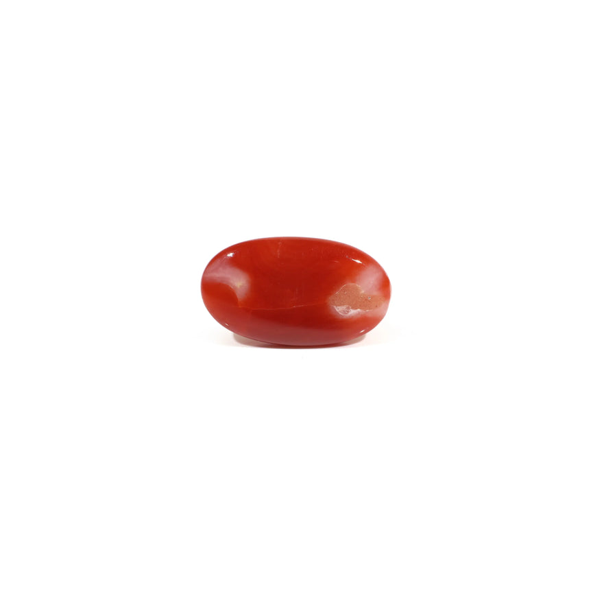 Japanese Red Coral - 3 Carat