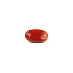 Japanese Red Coral - 3 Carat