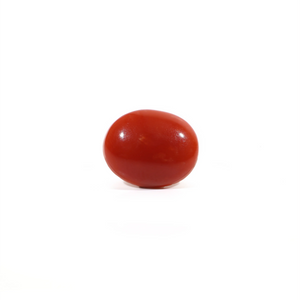 Japanese Red Coral - 3.33 Carat - Pramogh