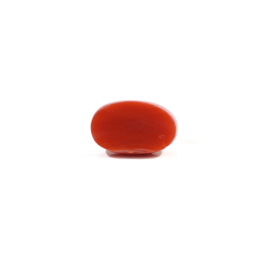 Japanese Red Coral - 3 Carat
