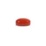 Japanese Red Coral - 3 Carat