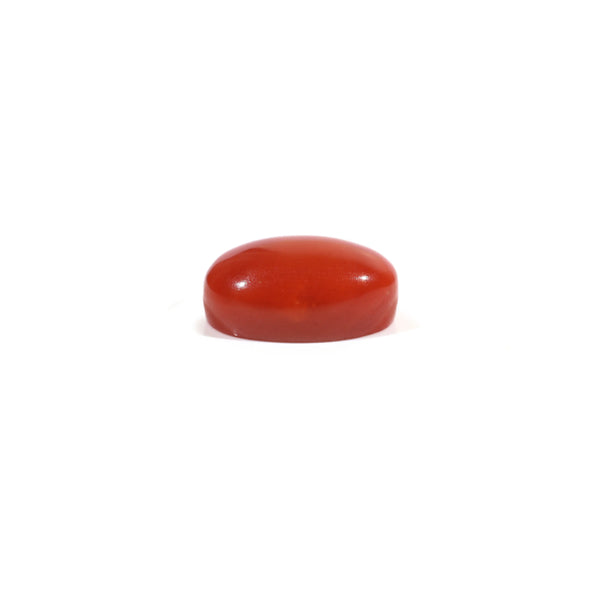Japanese Red Coral - 3 Carat