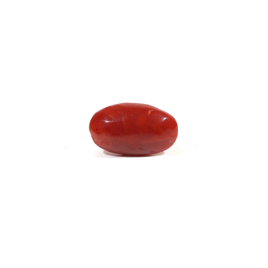 Japanese Red Coral - 3.6 Carat - Pramogh