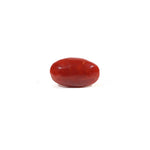 Japanese Red Coral - 3.6 Carat - Pramogh