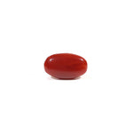 Japanese Red Coral - 3.6 Carat
