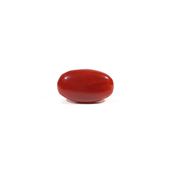 Japanese Red Coral - 3.6 Carat
