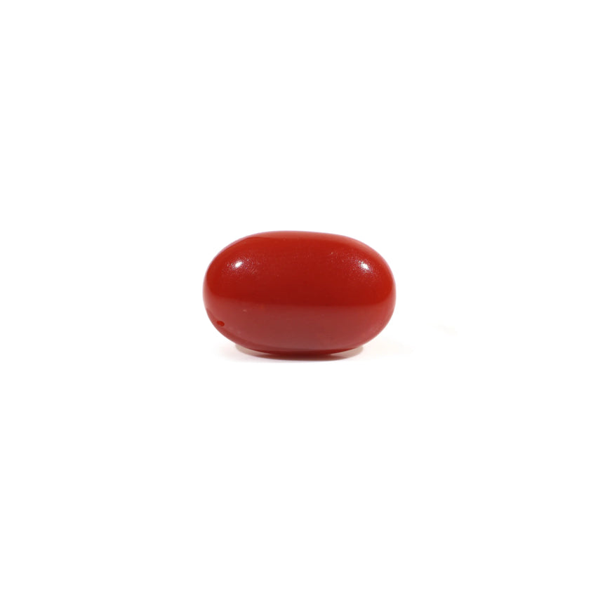 Japanese Red Coral - 2.75 Carat - Pramogh