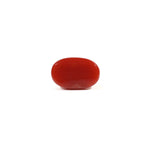 Japanese Red Coral - 2.75 Carat