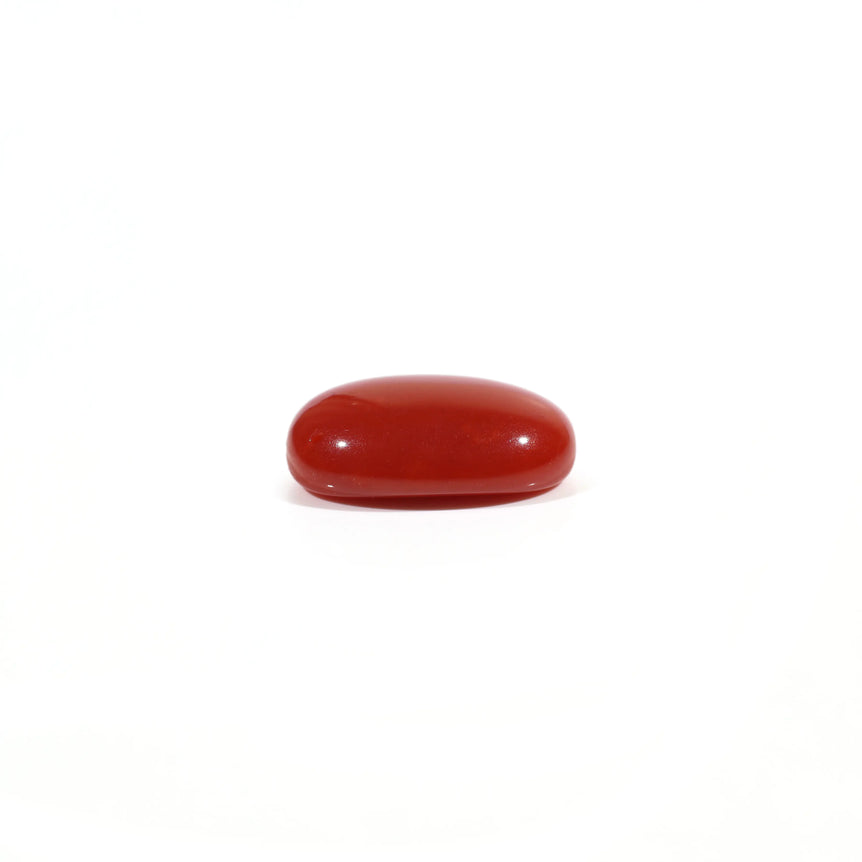 Japanese Red Coral - 2.75 Carat