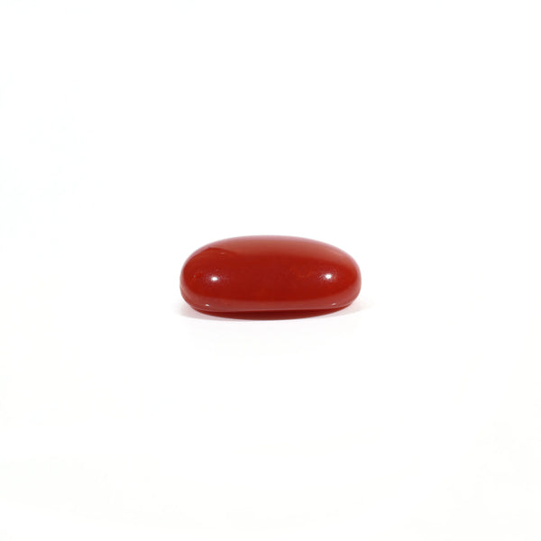 Japanese Red Coral - 2.75 Carat