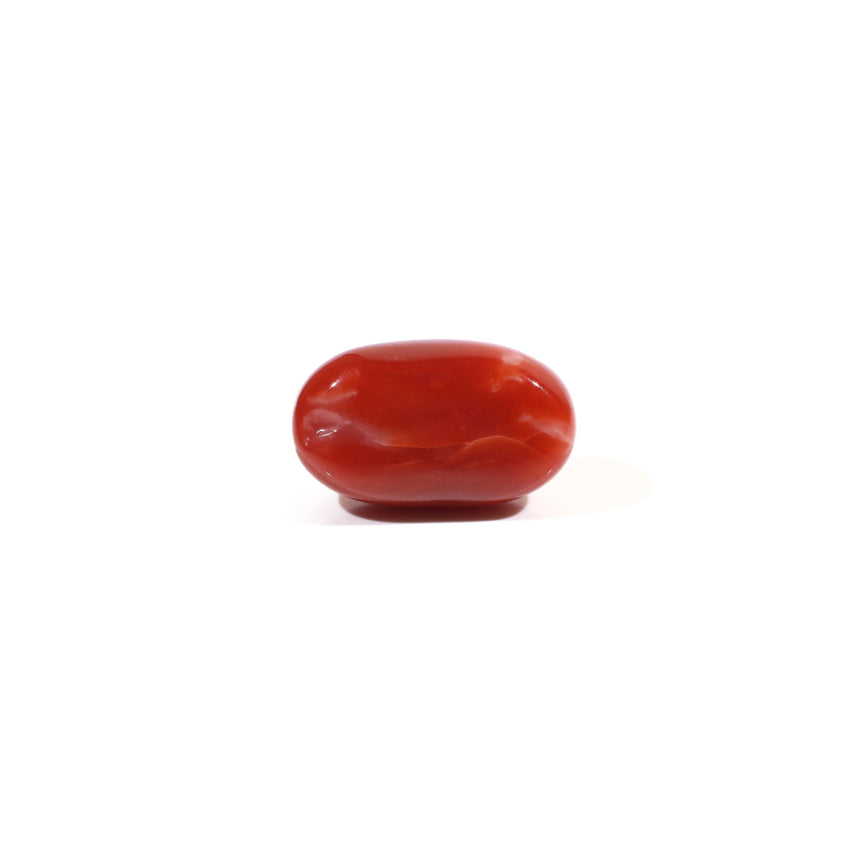 Japanese Red Coral - 5.15 Carat
