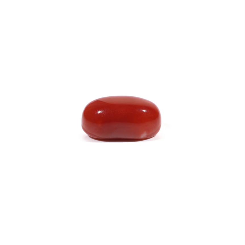Japanese Red Coral - 5.15 Carat