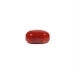 Japanese Red Coral - 5.15 Carat