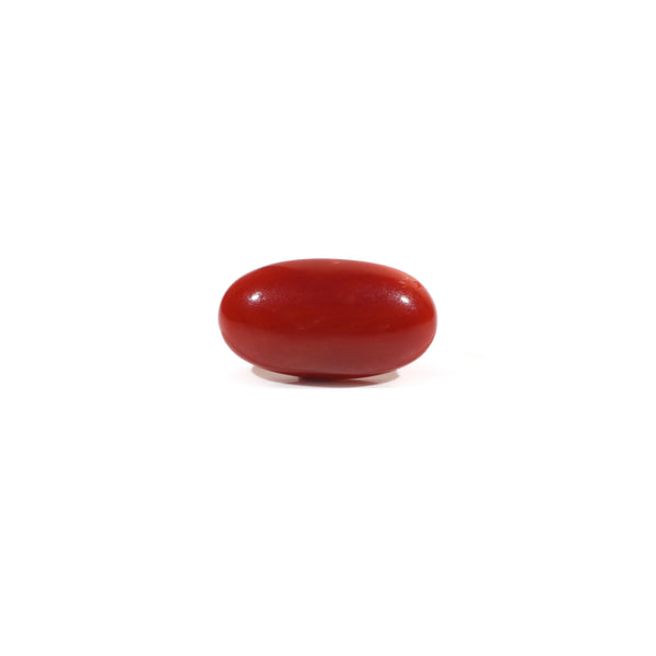 Japanese Red Coral - 3.7 Carat - Pramogh