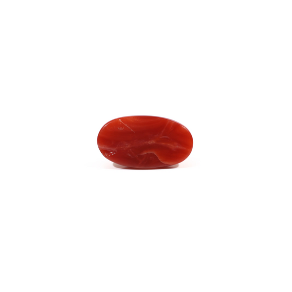 Japanese Red Coral - 3.7 Carat