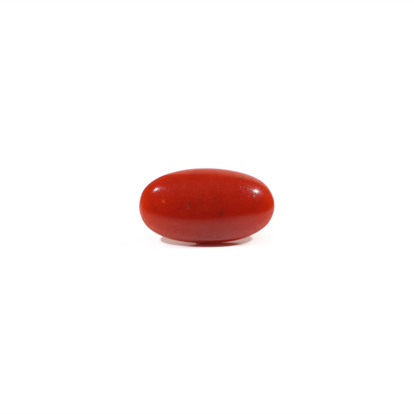 Japanese Red Coral - 3.85 Carat - Pramogh