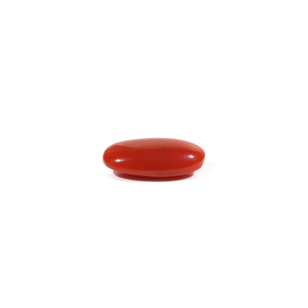 Japanese Red Coral - 3.85 Carat