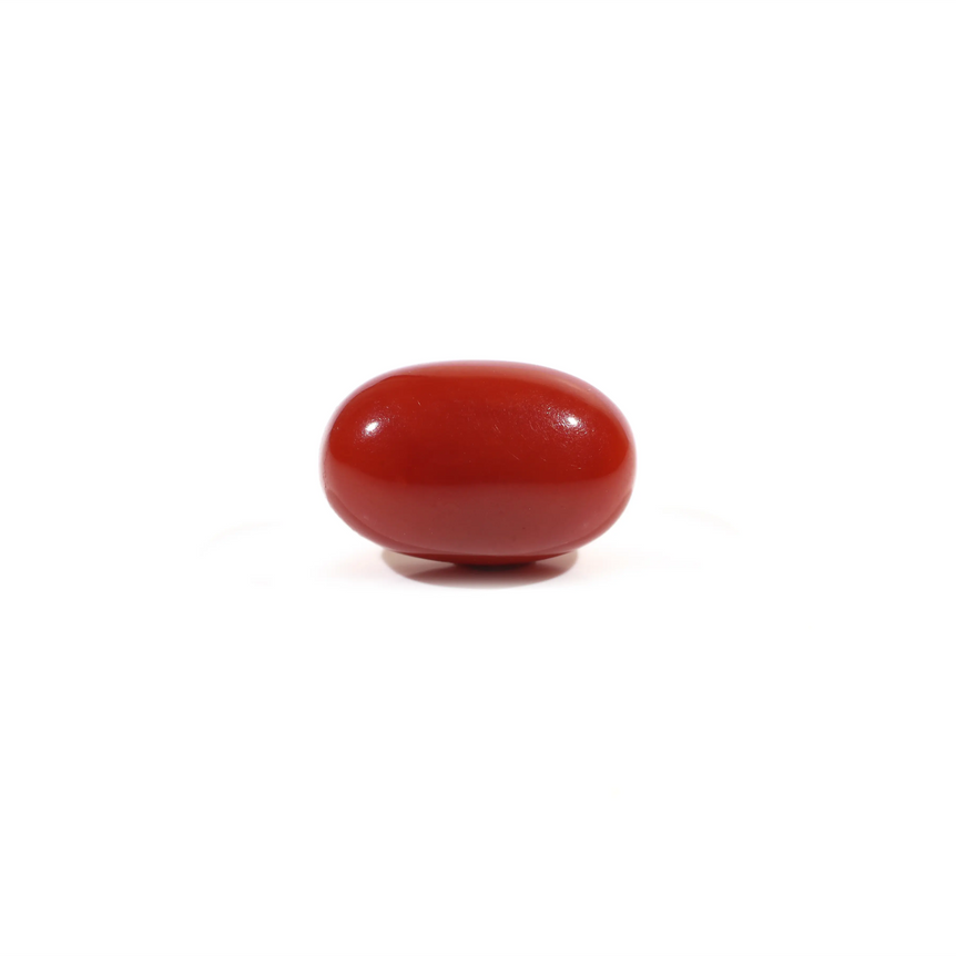 Japanese Red Coral - 3.8 Carat - Pramogh