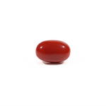 Japanese Red Coral - 3.8 Carat - Pramogh