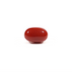 Japanese Red Coral - 3.8 Carat - Pramogh