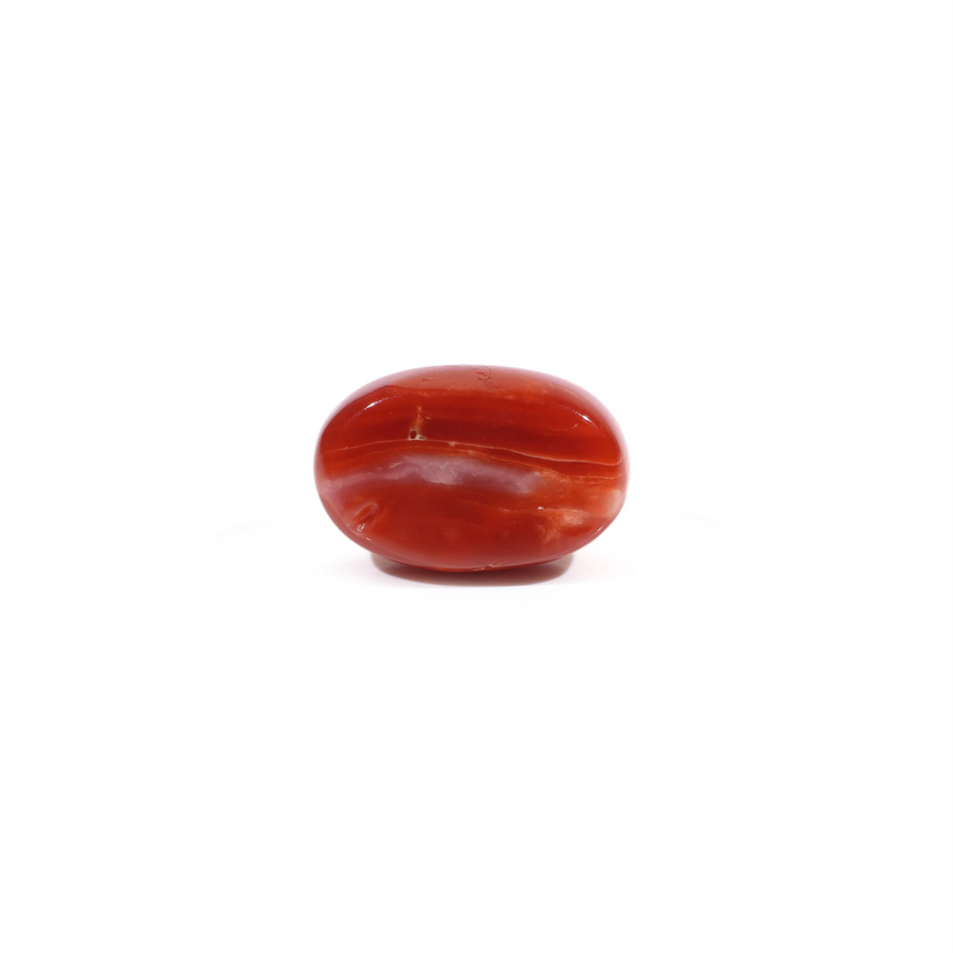 Japanese Red Coral - 3.8 Carat